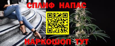 a pvp Будённовск