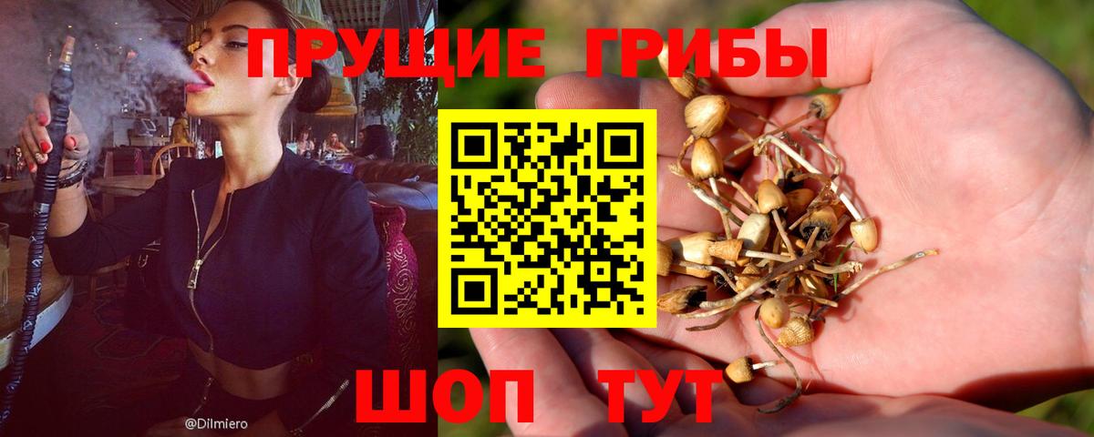 Галлюциногенные грибы ЛСД  Вход с VPN  Орёл 