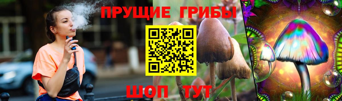 Псилоцибиновые грибы мухоморы Орёл